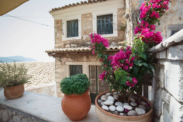 科孚岛上古老小镇的街道和前景中的鲜花 希腊C — 图库照片