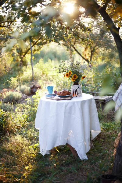 Jardim Chá Festa Estilo Country Ainda Vida Rolos Canela Xícaras — Fotografia de Stock