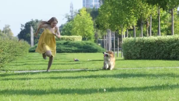 Fiatal Nevető Gyermek Lány Fut Vele Fluffy Corgi Kutya Zöld — Stock videók