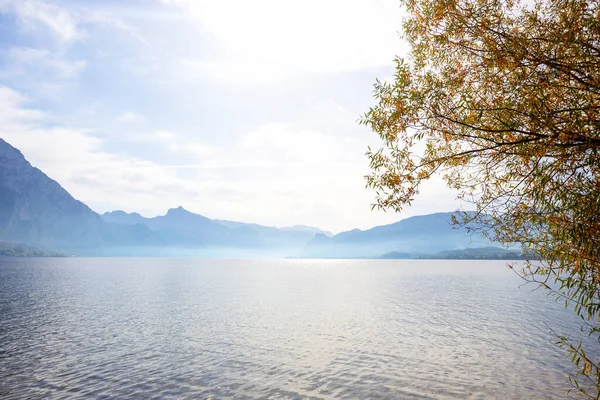 Krajina Krásným Horským Jezerem Traunsee Rakousko — Stock fotografie