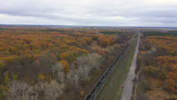Widok Lotu Ptaka Pociąg Towarowy Poruszający Się Przez Jesienny Las — Wideo stockowe