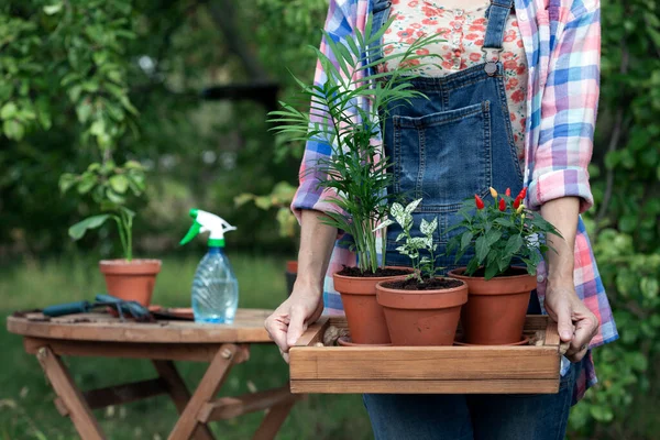 庭に花を植える少女トランスポンチン用の花器や植物 — ストック写真