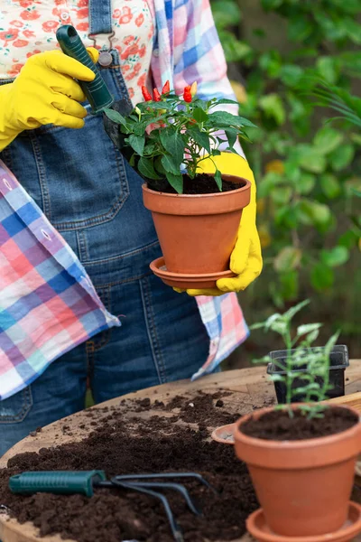 Fille Plantant Des Fleurs Dans Jardin Pots Fleurs Plantes Pour — Photo