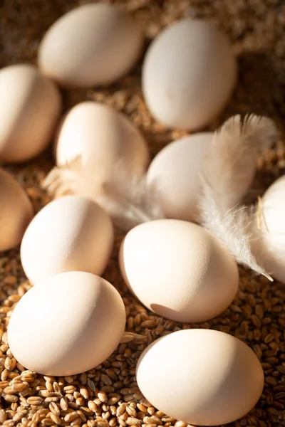 Eggs Lie Wheat Rural Backgroun — Stock Photo, Image