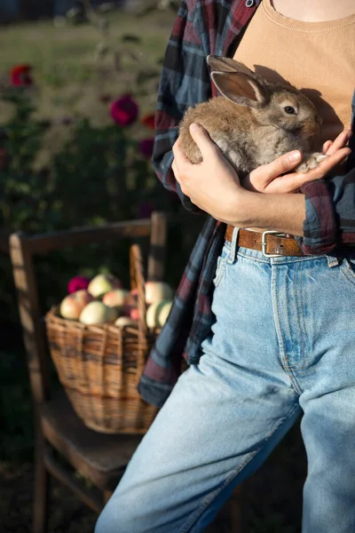 Menina Feliz Jardim Tem Coelho Seus Braços Uma Cesta Maçãs — Fotografia de Stock