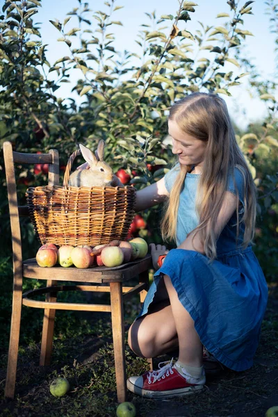 Ευτυχισμένο Κορίτσι Στον Κήπο Κουνέλι Και Ένα Καλάθι Μήλα Αισθητική — Φωτογραφία Αρχείου