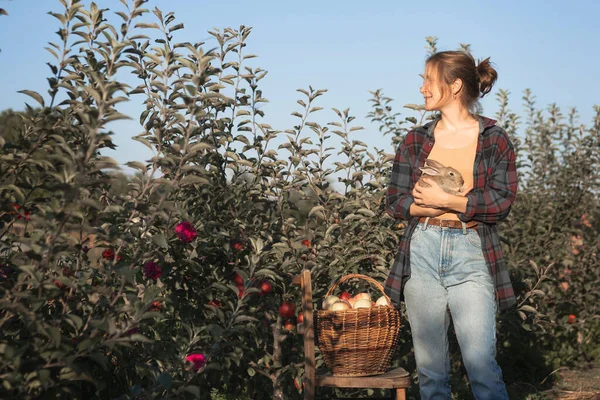 Chica Feliz Jardín Sostiene Conejo Sus Brazos Una Cesta Manzanas —  Fotos de Stock