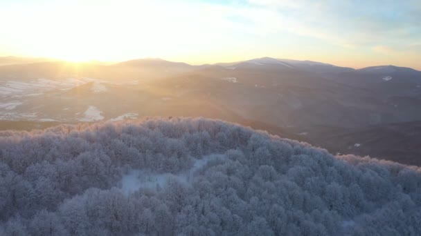 Зимний Рассвет Над Горным Лесом Красивыми Заснеженными Деревьями Освещенными Утренним — стоковое видео