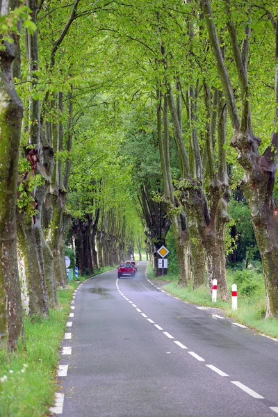 Road — Stock Photo, Image