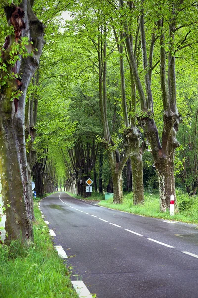 Road — Stock Photo, Image