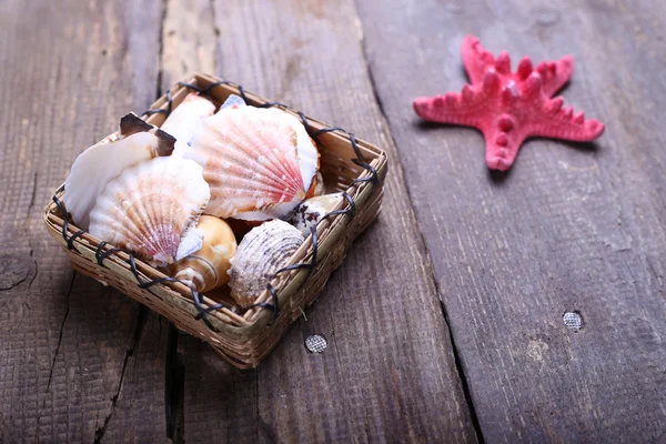 Shells on a table — Stock Photo, Image