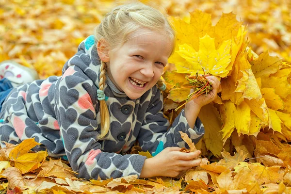 Herfst — Stockfoto