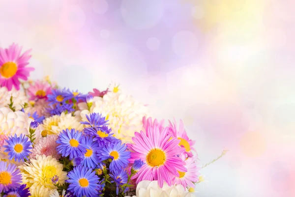 Flowers background — Stock Photo, Image