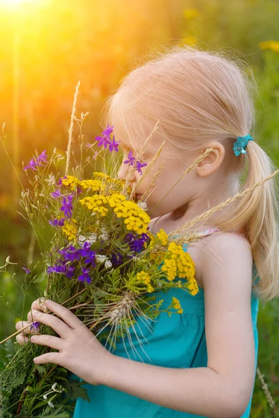 Wild flowers — Stock Photo, Image