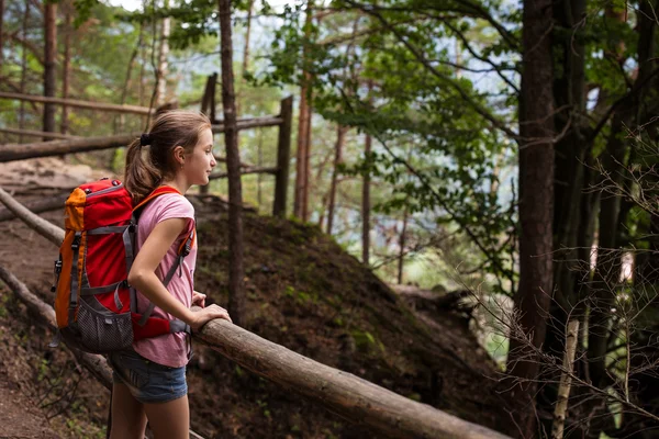 On a path — Stock Photo, Image