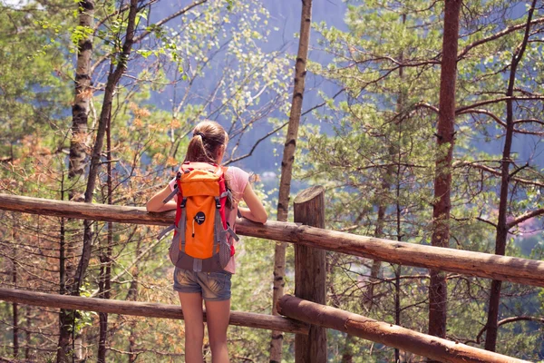 On a path — Stock Photo, Image