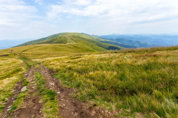 Karpaty — Zdjęcie stockowe