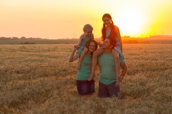 Familie wandelen in het veld — Stockfoto