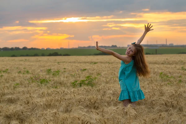 Buğday alanında poz kız — Stok fotoğraf