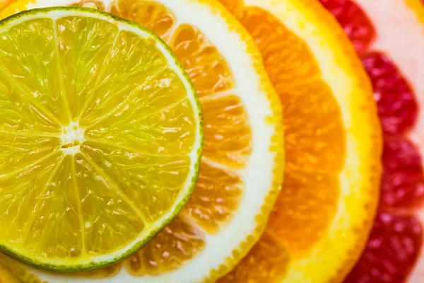 Citrus background — Stock Photo, Image