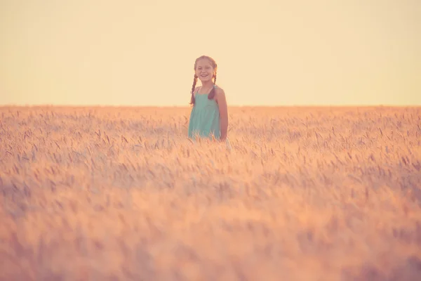 Lány a búza mező — Stock Fotó