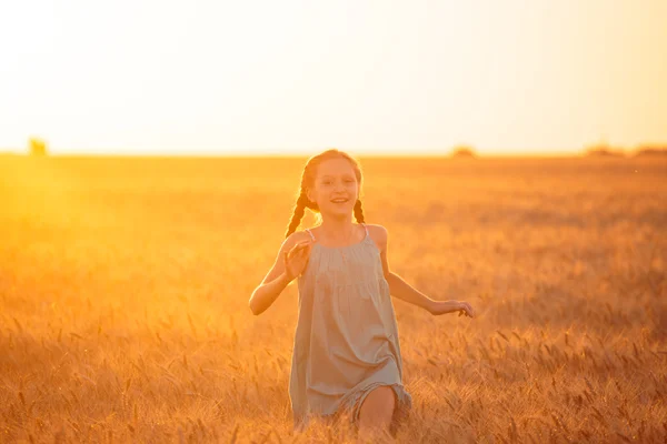 Running at the field — Stock Photo, Image