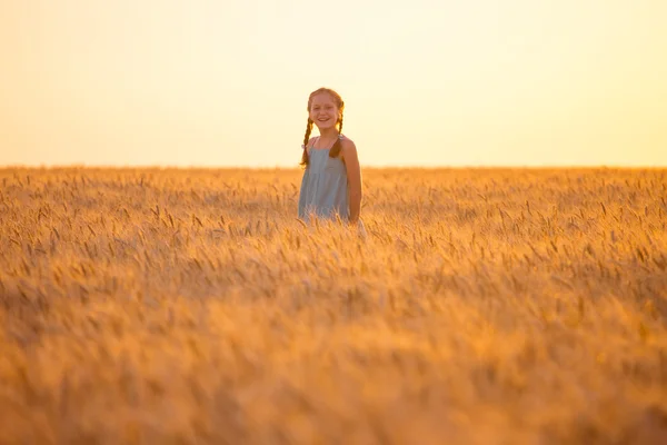 Chica en un campo de trigo —  Fotos de Stock