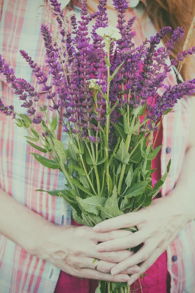 Salvia — Foto de Stock