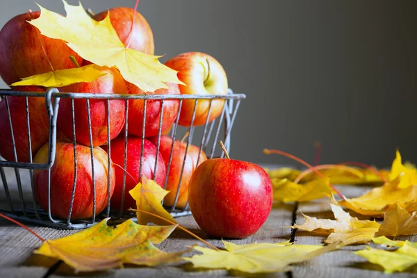 Manzanas — Foto de Stock