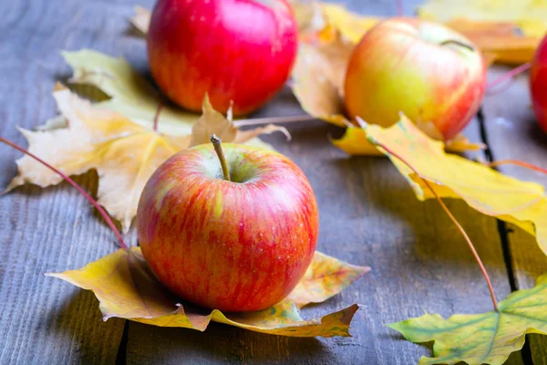 Fondo de otoño — Foto de Stock