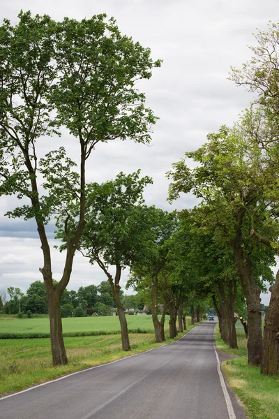 Rural road — Stock Photo, Image