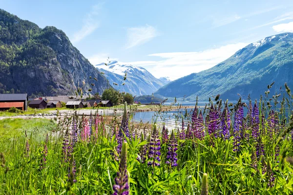 Berglandschap — Stockfoto