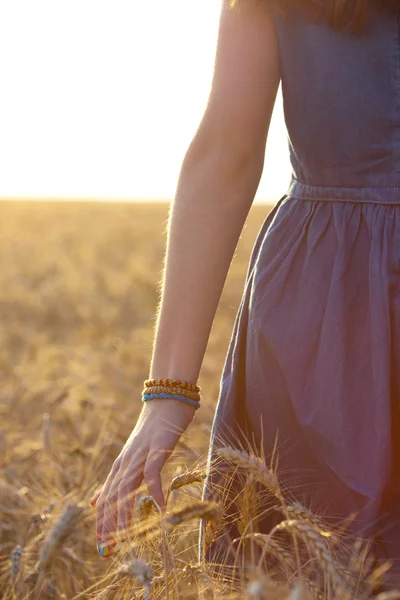 Hand and wheat — Stock Photo, Image