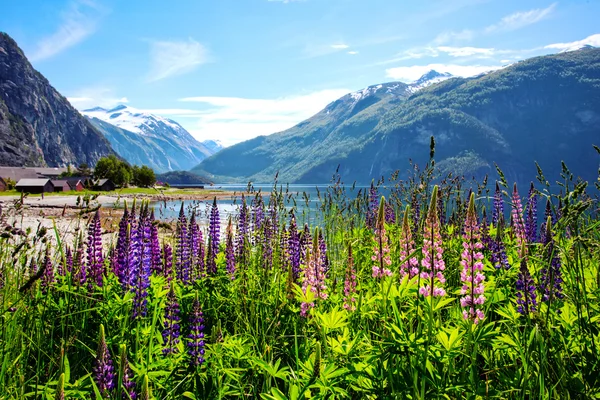 Mountain landscape a — Stock Photo, Image