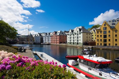 flowers of Alesund clipart