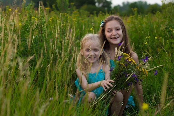 Two sisters at the evening field — Stock Photo, Image