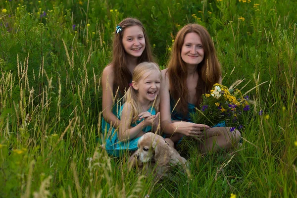 Family at the evening field — Stock Photo, Image