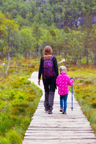 Spur am Preikestolen — Stockfoto