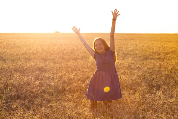 Girl at the field — Stock Photo, Image