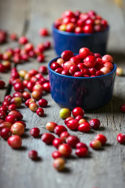 Cranberries fechar — Fotografia de Stock