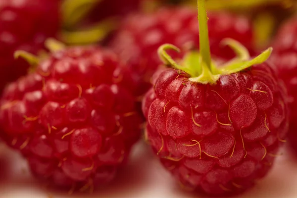 Raspberries close up — Stock Photo, Image