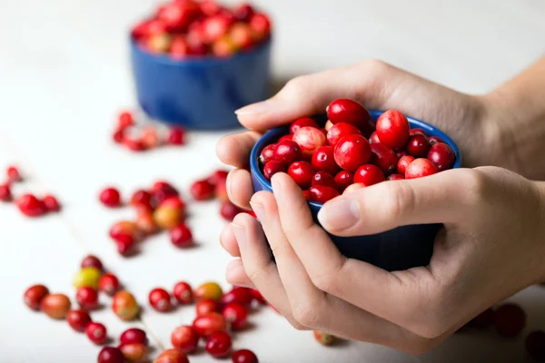 Cranberries a a a — Fotografia de Stock