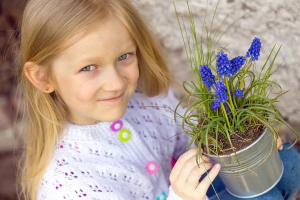 Hyacinthus un un — Foto Stock