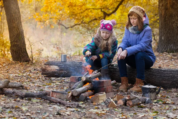 ピクニックに 2 人の女の子 — ストック写真