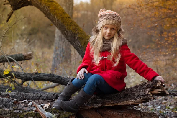 Little girl in the autumn forest — Stock Photo, Image