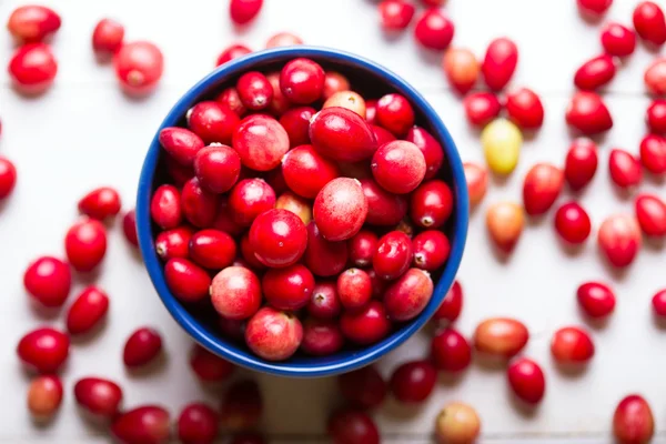 Cranberries a a a — Fotografia de Stock