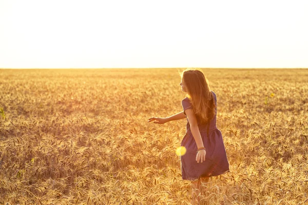 Девушка на поле — стоковое фото