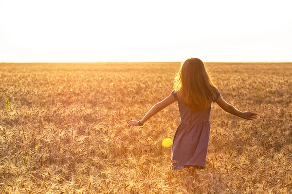 Girl at the field — Stock Photo, Image