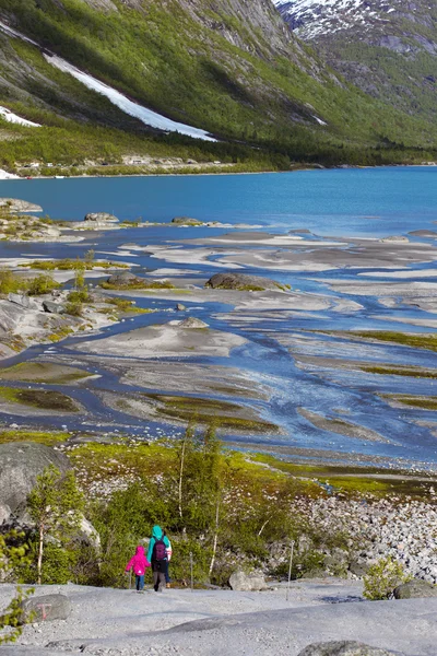 Glaciären en en — Stockfoto