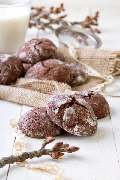 Biscotti al cioccolato a — Foto Stock